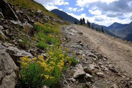 Alpine Loop Trail